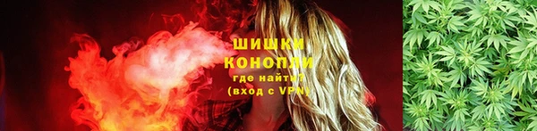 стафф Богородск