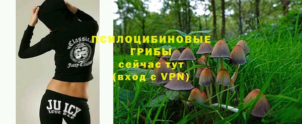 стафф Богородск