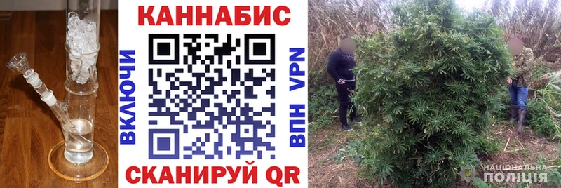 это клад  Козьмодемьянск  Бошки марихуана THC 21%  цены наркотик 